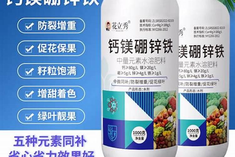 芒果花期管理技术要点