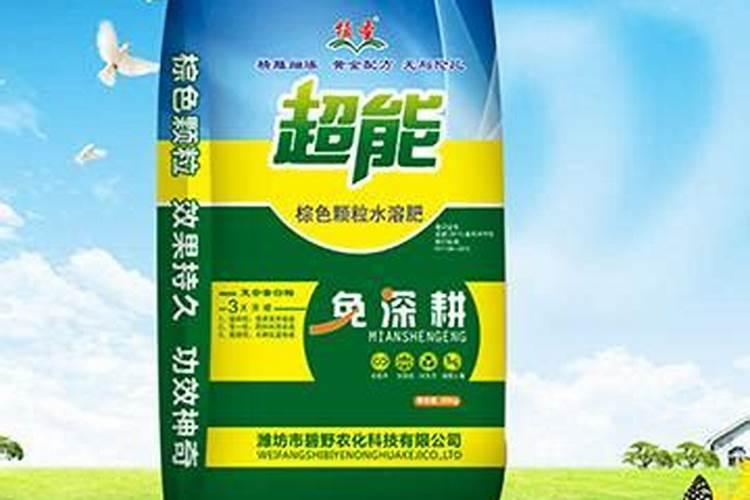 茶叶施肥时间