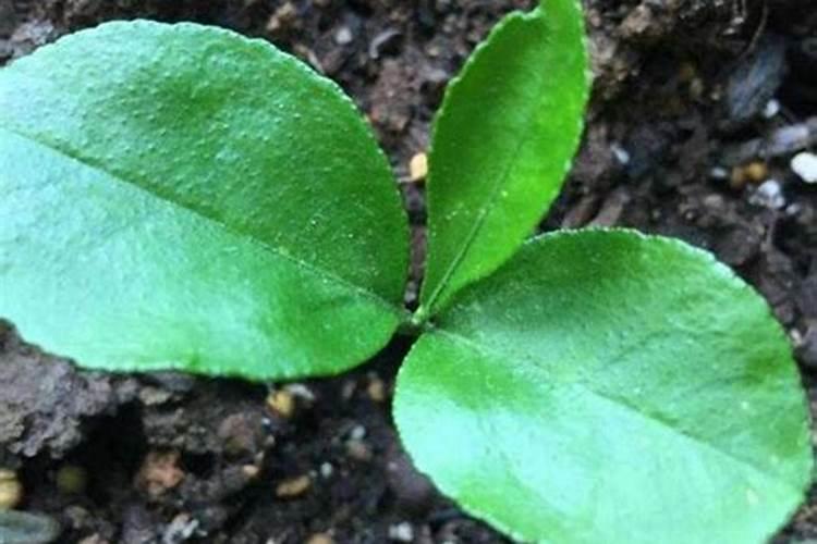 复合肥冬天保存方法