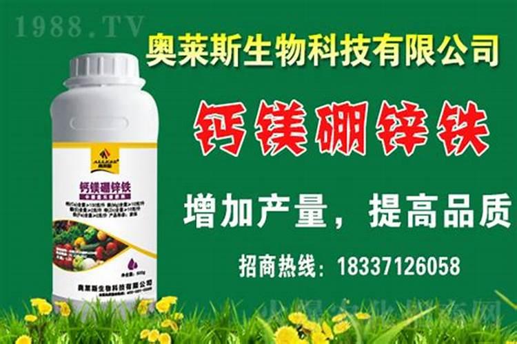 控释肥和复合肥有什么不同？