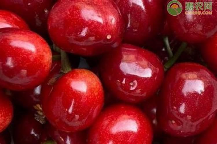 樱桃施什么肥最好