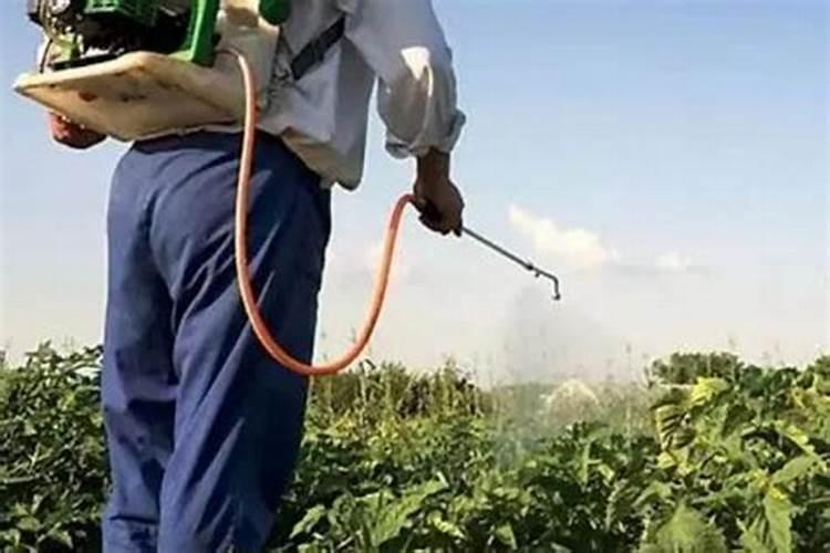 怎样在外观区分氮、磷、钾肥？？？