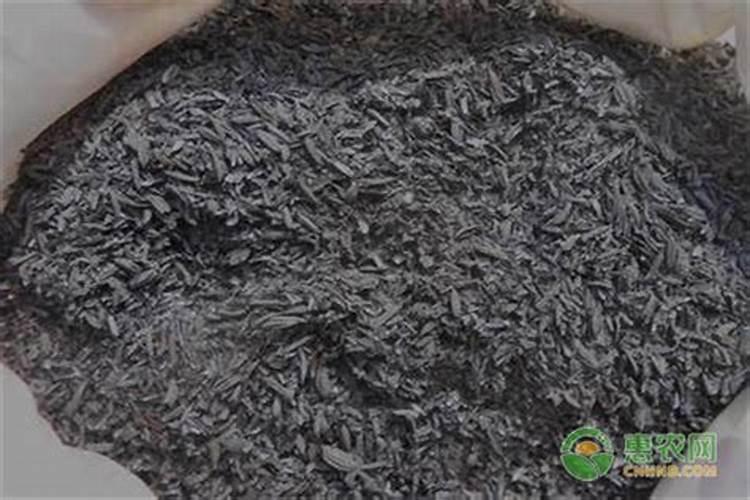 阳台草莓用什么肥料 阳台草莓用什么肥料最好