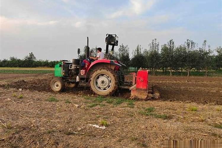 生物有机肥是什么肥料 生物有机肥执行标准有哪些