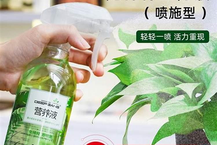 种小麦用什么肥料好