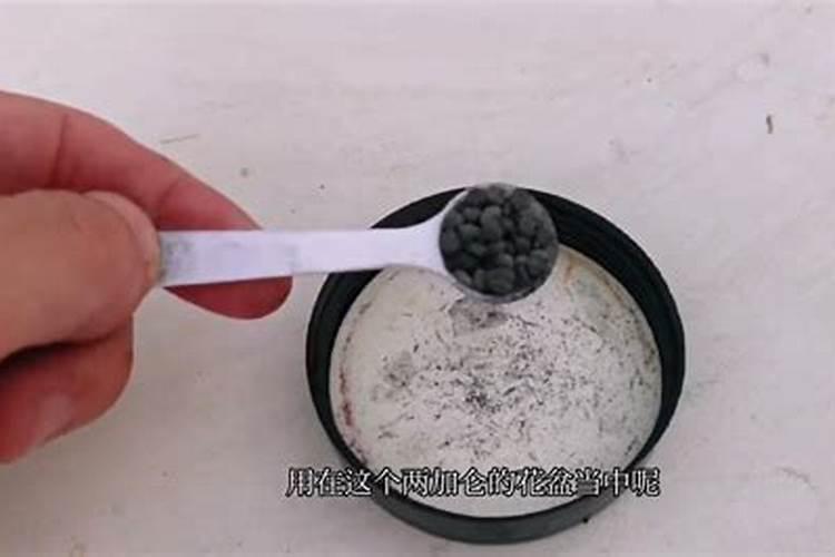 花草浇什么肥料合适