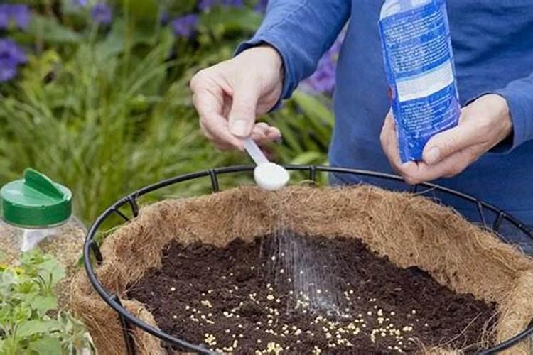 迎春花用农家肥可以吗？