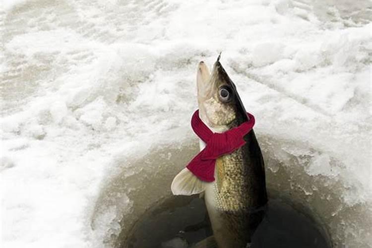 苹果需要什么化肥