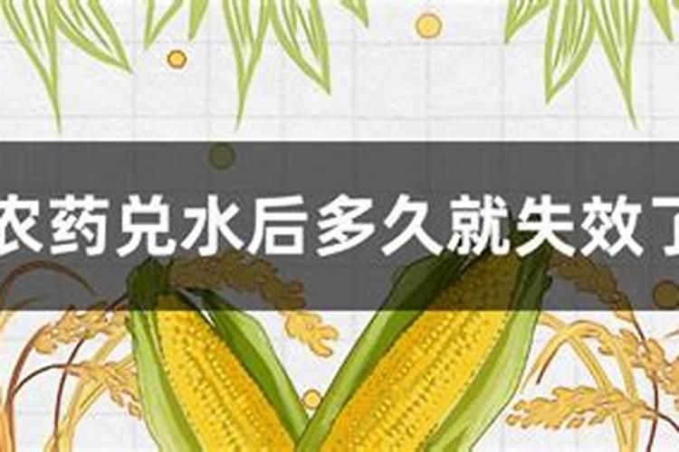 远志收后最迟什么时侯种