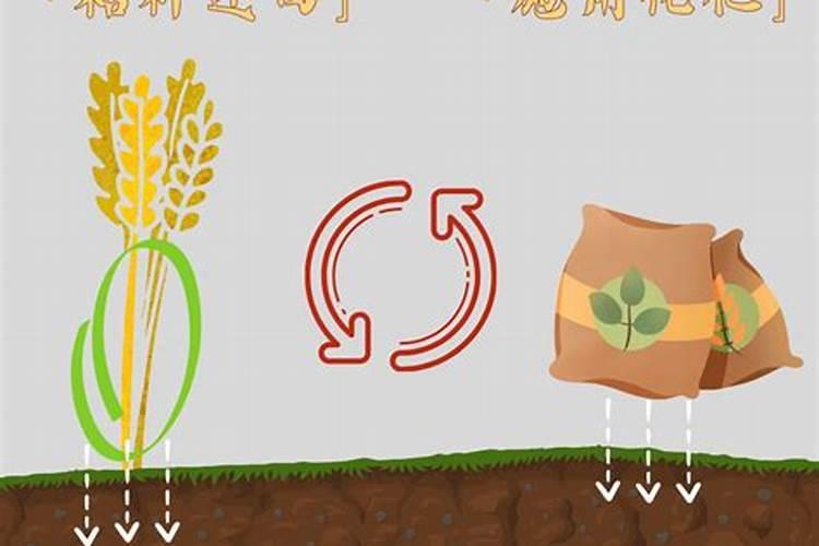 磷肥是什么粉状