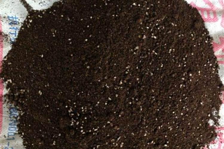 大棚柿子用哪种冲施肥比较好