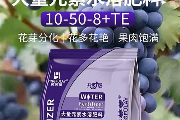 葡萄转色期用高磷肥能行不 葡萄上色期施肥注意事项
