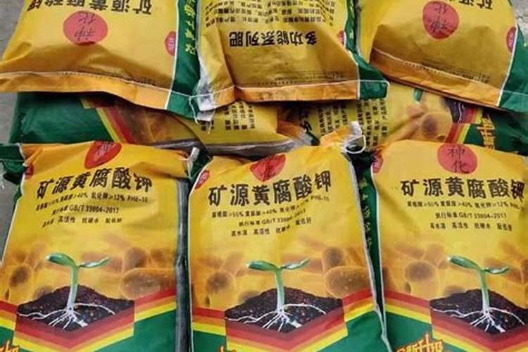 石菖蒲用什么肥料最好？