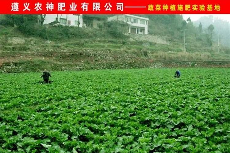 怎样合理使用过磷酸钙？