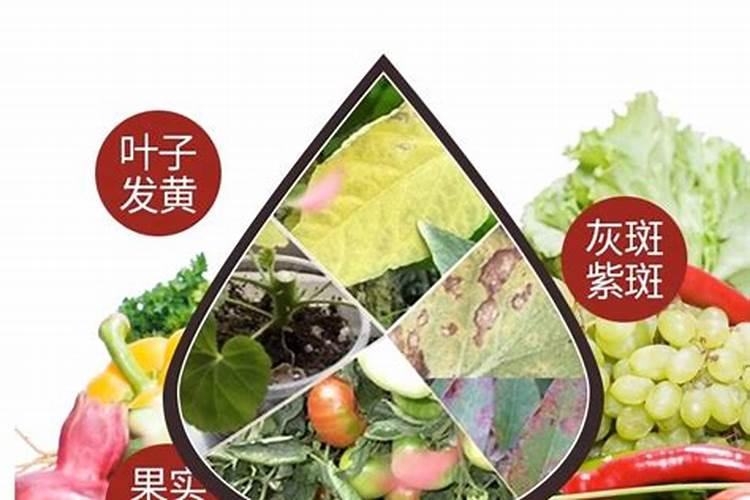 种植青椒时是用什么肥最合适？