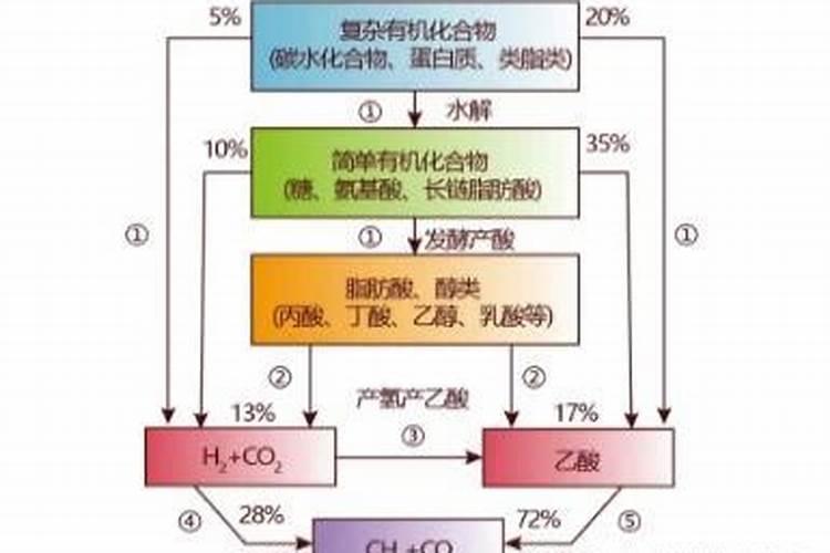 辣椒和茄子能一起吃吗？辣椒和茄子怎么做好吃？