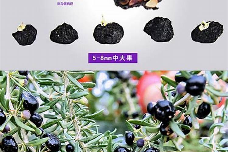 ...矿源黄腐酸钾黑金晶,矿源黄腐酸钾厂家价格多少？