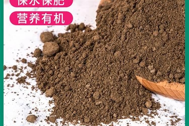 叶面肥三天喷一次可以吗