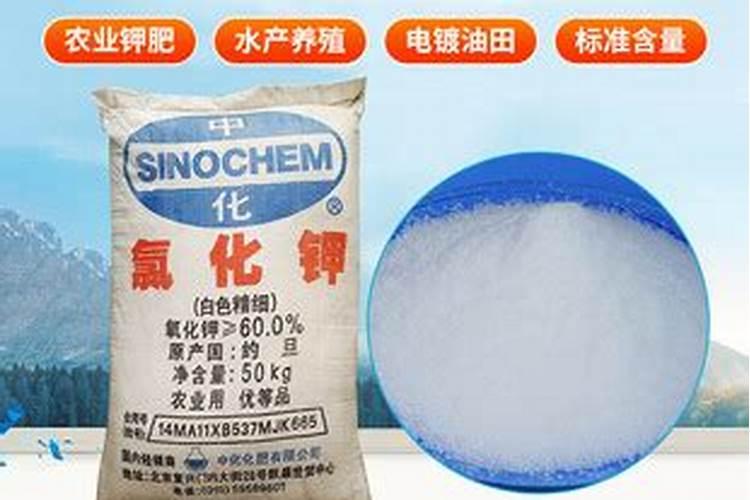 柑橘用什么水溶肥产量高？柑橘膨果用什么叶面肥效果好？