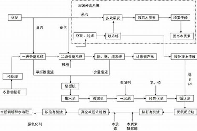 洋芋种植的方法
