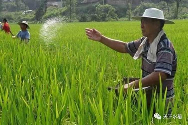 中国尿素生产出口十大企业