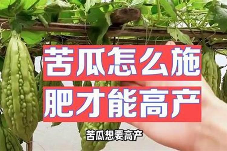 苦瓜追肥用什么肥料好