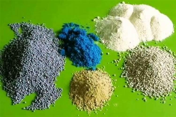 移栽柚子树根系腐烂怎么办？