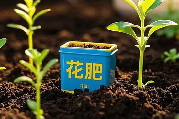 家里种花用什么肥料
