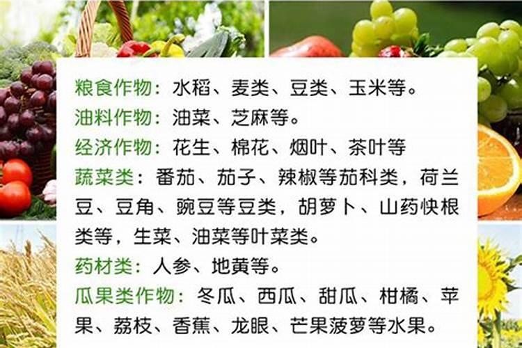哪些属于磷钾肥