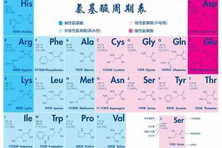 氨基酸水溶肥跟腐殖酸水溶肥区别在哪里
