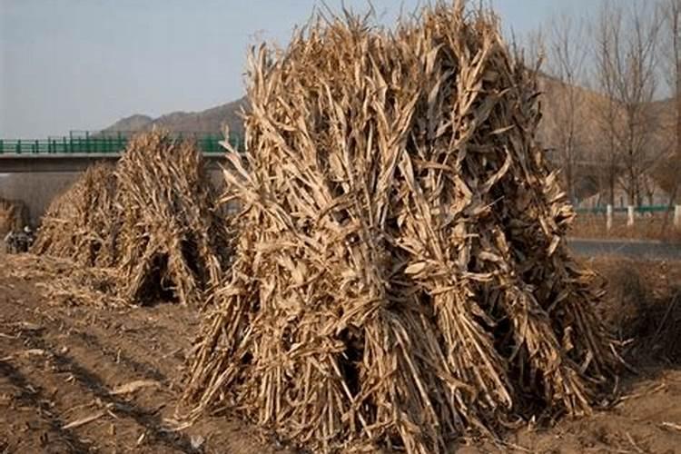 秸秆还田是什么意思？