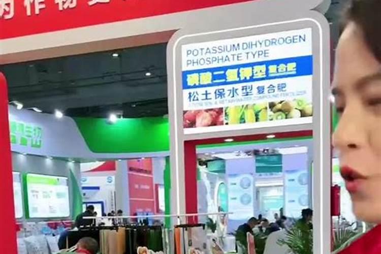 青枣高产施肥技巧 青枣应该怎么施肥