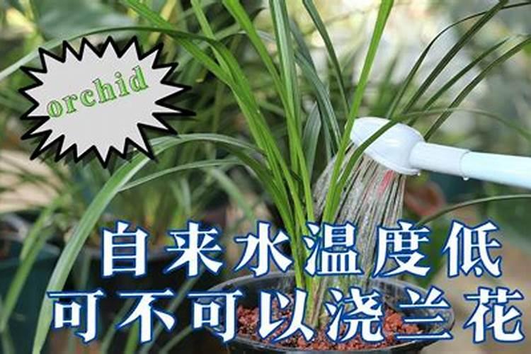 钾肥有哪些 钾肥包括哪些