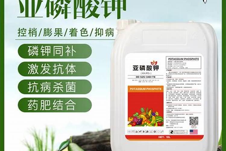 空心菜需要什么肥料