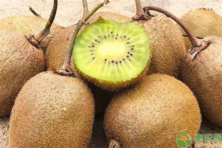 猕猴桃施肥用什么肥料