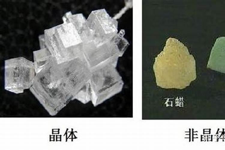 朴树大树什么季节移栽最好？