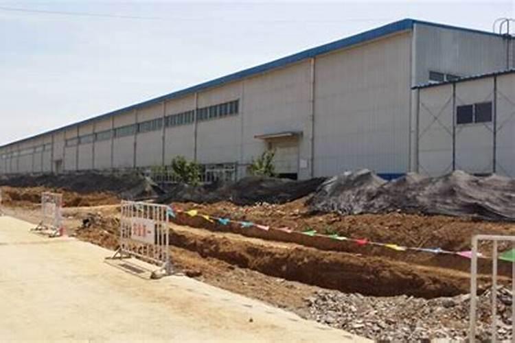 芸苔素拌种用量是多少