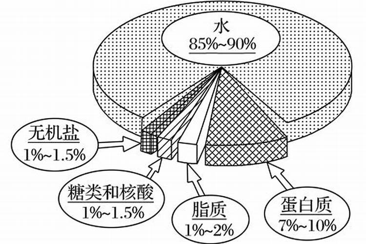 定期施肥对冬小麦有何影响
