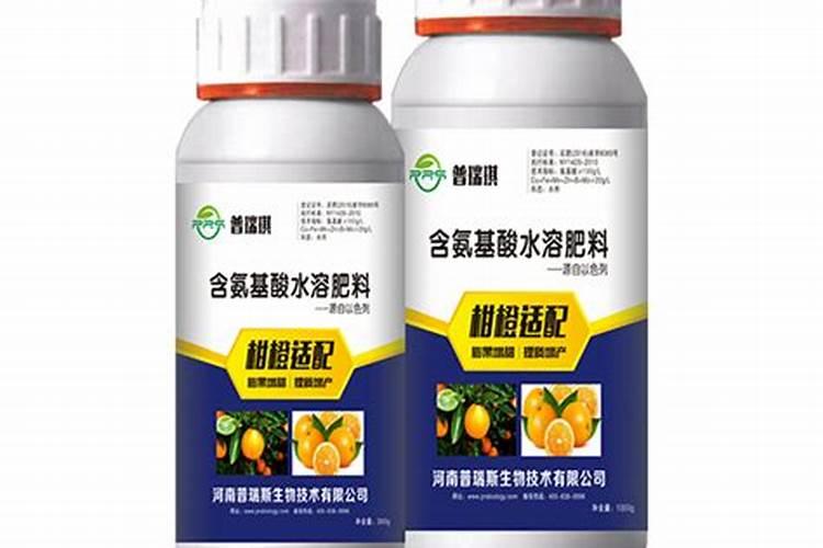 夏橙种植以后是吗时候可以施肥