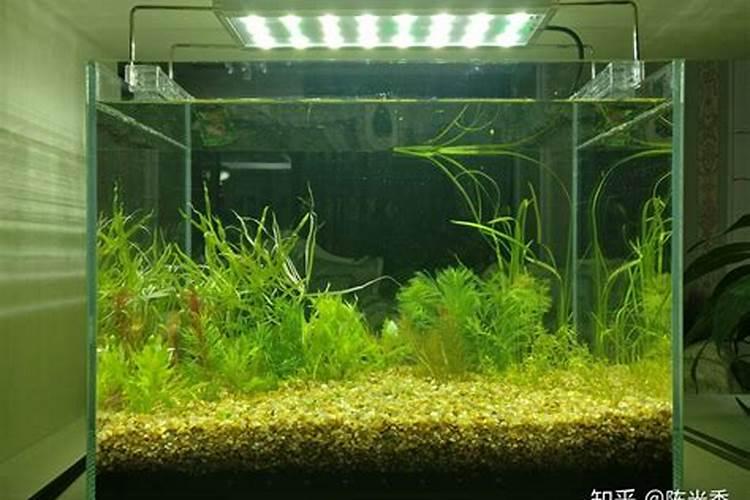 聚谷氨酸肥料使用是水剂冲施好,还是颗粒和肥料混合使用好