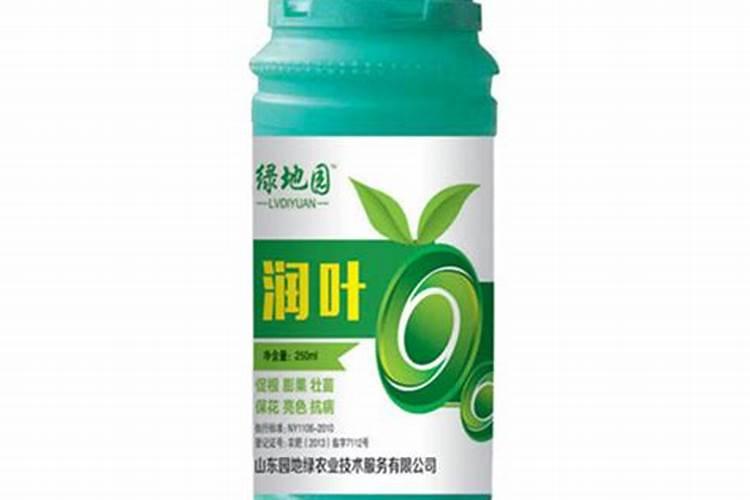 绿萝用什么肥料长得快,含氮的有机肥最利于生长