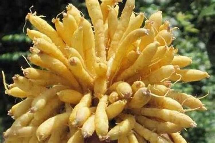 中国的氮肥 磷肥 钾肥 主要生产原料分别是什么？
