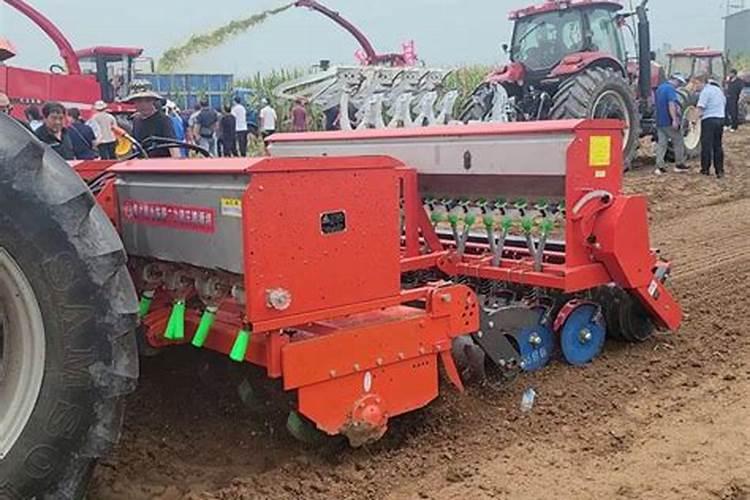 桔子树怎么养护和施肥