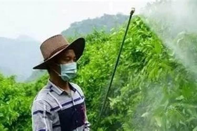 苹果用矿源黄腐酸钾有什么用