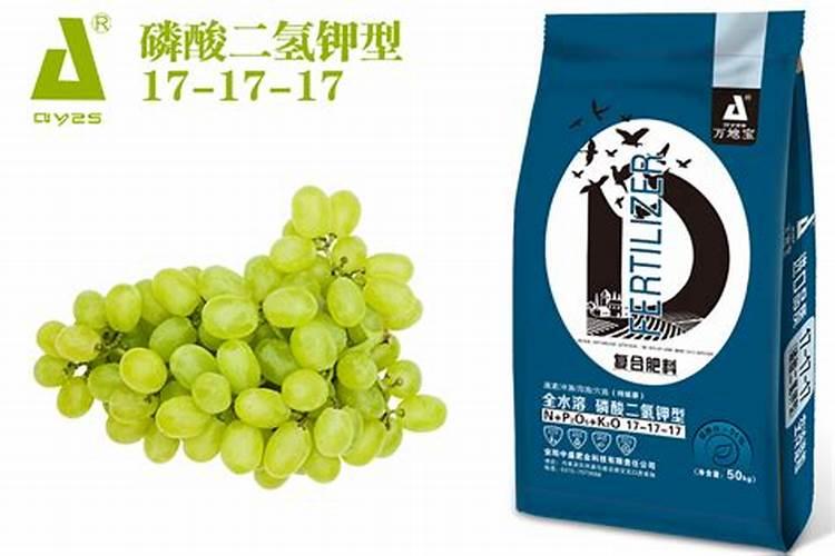 葡萄施肥时间和方法,葡萄施肥需要注意什么