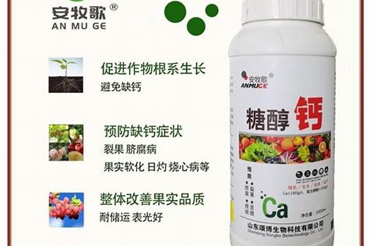 毛豆结荚到鼓粒要多久