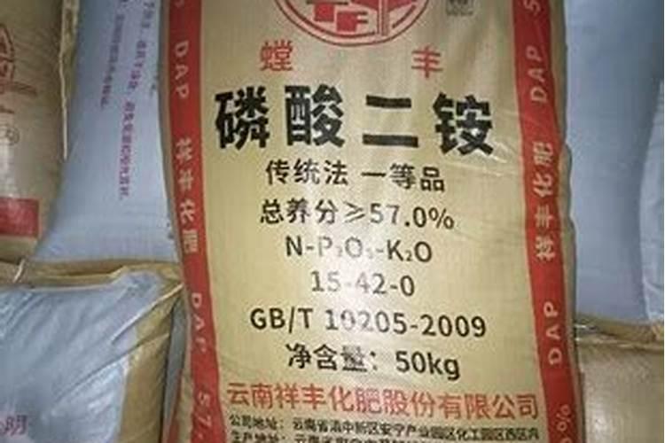 菜苔的种植方法和时间 菜苔种植的肥料要求