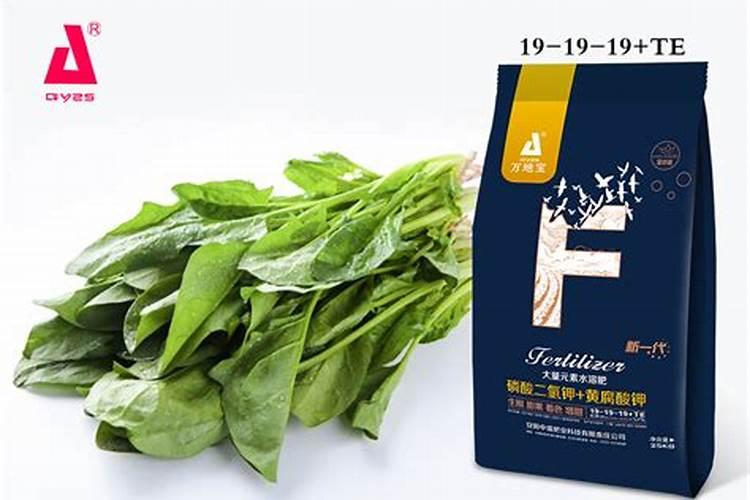 氨基酸叶面肥降温前喷还是后喷