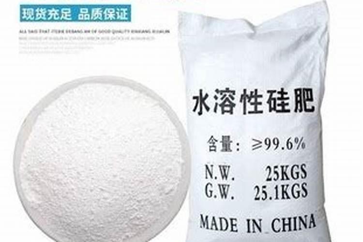 花生什么时候打芸苔素 如何使用才能提高产量