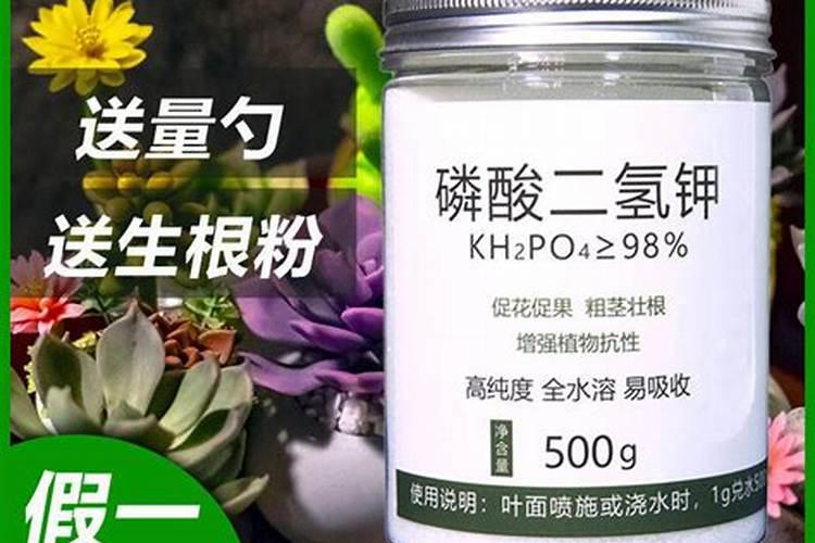 给花施肥用什么肥料